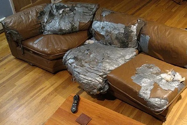 Office Sofa Repair Service In Dilsukhnagar, Hyderabad